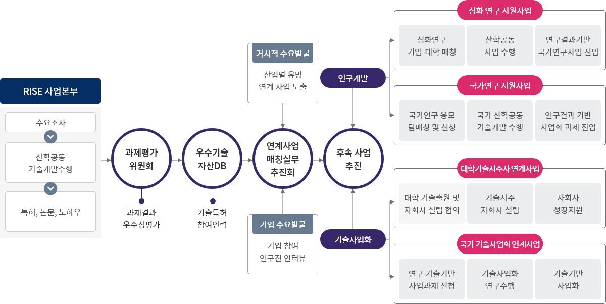 과제후속지원 도표